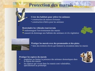 Protection des marais Protéger les espèces du marais empêcher ou limiter la présence des animaux domestiques dans la région des marais les espèces qui vivent dans les marais sont vulnérables, spécialement au printemps Restreindre les véhicules tout-terrain   endommagent l'environnement des marais  causent du dommage aux habitats des animaux et à la végétation Protéger les marais avec des promenades et des pistes  faire des trottoirs élevés qui limitent la circulation dans les marais Créer des habitats pour attirer les animaux construction de maison d'oiseaux construction d'abris pour les animaux 
