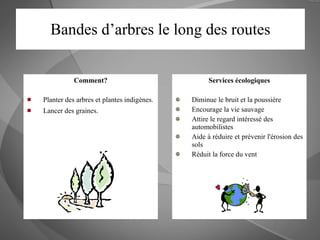 Bandes d’arbres le long des routes Comment? Planter des arbres et plantes indigènes.  Lancer des graines. Services écologiques Diminue le bruit et la poussière Encourage la vie sauvage Attire le regard intéressé des automobilistes Aide à réduire et prévenir l'érosion des sols Réduit la force du vent  