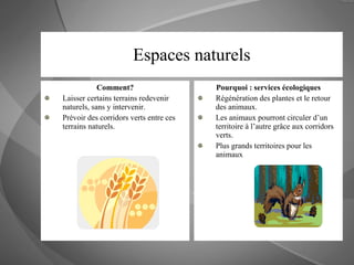 Espaces naturels Comment? Laisser certains terrains redevenir naturels, sans y intervenir.  Prévoir des corridors verts entre ces terrains naturels. Pourquoi : services écologiques Régénération des plantes et le retour des animaux. Les animaux pourront circuler d’un territoire à l’autre grâce aux corridors verts. Plus grands territoires pour les animaux 