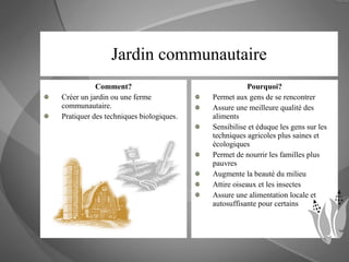 Jardin communautaire Comment? Créer un jardin ou une ferme communautaire. Pratiquer des techniques biologiques.  Pourquoi? Permet aux gens de se rencontrer  Assure une meilleure qualité des aliments Sensibilise et éduque les gens sur les techniques agricoles plus saines et écologiques Permet de nourrir les familles plus pauvres  Augmente la beauté du milieu Attire oiseaux et les insectes Assure une alimentation locale et autosuffisante pour certains 