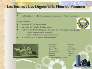 Les fermes : Les Digues et la Fleur du Pommier Buts :  Cultivent des produits bons pour les humains et l’environnement. Ce qu ’ ils font : attention à l’environnement partie de La Récolte de chez nous. cultivent des fruits et légumes de façon plus écologique ( Eco-Logik ) Moins d’utilisation de pesticides Moins d’utilisation d’engrais chimiques Il vendent leurs produits dans la région : Betteraves    Brocolis Carottes  Choux Choux-fleurs  Citrouilles Concombres  Courges Fraises  Tomates  Piments    Pois Haricots jaunes et verts   