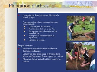 Plantation d'arbres La plantation d'arbres peut se faire en très  peu de temps.  Apporte toujours des avantages (services écologiques) : Habitats pour les animaux Purification de l’eau et de l’air Protection contre l’érosion et les inondations Abri pour la faune terrestre et  aquatique Embellit la région Étapes à suivre  :  Planter une variété d'espèces d'arbres et d'arbustes indigènes.  Creuser un trou assez large et profond pour allouer suffisamment d'espace pour les racines.  Planter de façon verticale et bien enterrer les racines 