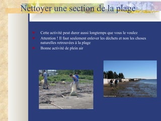 Nettoyer une section de la plage Cette activité peut durer aussi longtemps que vous le voulez Attention ! Il faut seulement enlever les déchets et non les choses naturelles retrouvées à la plage Bonne activité de plein air  L'Association du bassin versant de la baie de Shediac Groupe Littoral et vie 
