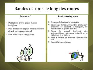 Bandes d’arbres le long des routes Comment ? Planter des arbres et des plantes indigènes  Plus intéressant et plus beau en voitures de voir un paysage naturel Peut aussi lancer des graines Services écologiques Diminue le bruit et la poussière Encourage la vie sauvage (les animaux y chassent, se cachent, y voyagent, s'y nourrissent et y font leur nid)  Attire le regard intéressé des automobilistes (demeure attaché à la nature de leur milieu) Aide à réduire et prévenir l'érosion des sols Réduit la force du vent 