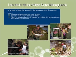 Les amis de la rivière Kouchibouguacis Le groupe a organisé un projet d’ensemencement de saumon Projet :  Pêche de saumons géniteurs pour les œufs Garde les œufs jusqu’à éclosion tout l’été Élèves et bénévoles aident à marquer et relâcher les petits saumons dans la rivière en automne Source:Les amis de la rivière Kouchibouguacis Source:Les amis de la rivière Kouchibouguacis Source:Les amis de la rivière Kouchibouguacis Source:Les amis de la rivière Kouchibouguacis 