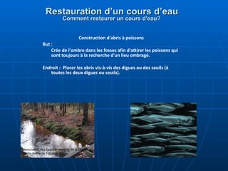 Restauration d’un cours d’eau  Comment restaurer un cours d'eau?   Construction d'abris à poissons But :  Crée de l'ombre dans les fosses afin d'attirer les poissons qui sont toujours à la recherche d'un lieu ombragé. Endroit :  Placer les abris vis-à-vis des digues ou des seuils (à toutes les deux digues ou seuils). Association des bassins versants de la Grande et Petite rivière de Tracadie 
