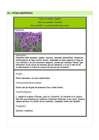 14 – FITXA CIENTÍFICA
 