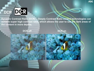 Budget limited userTarget Launch DateJan. 2010