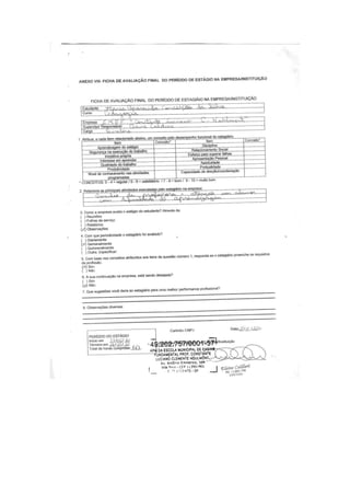 exemplo_de _relatorio_de_pedagogia_maria_aparecida.pdf