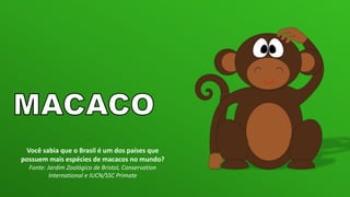 Você sabia que o Brasil é um dos países que
possuem mais espécies de macacos no mundo?
Fonte: Jardim Zoológico de Bristol, Conservation
International e IUCN/SSC Primate
 