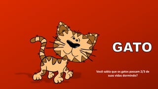 Você sabia que os gatos passam 2/3 de
suas vidas dormindo?
 