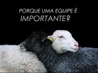 PORQUE UMA EQUIPE É
IMPORTANTE?
 