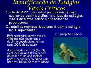 Exemplos de avp | PDF