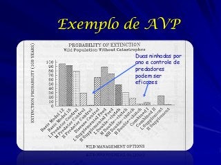 Exemplos de avp | PDF