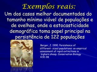 Exemplos reais:
Um dos casos melhor documentados do
 tamanho mínimo viável de populações e
   de ovelhas, onde a estocasti...
