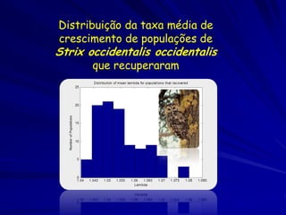 Distribuição da taxa média de
crescimento de populações de
Strix occidentalis occidentalis
       que recuperaram
 