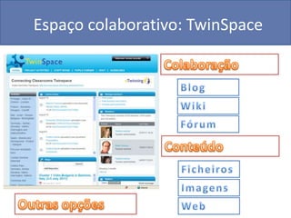 Espaço colaborativo: TwinSpace




               www.etwinning.net   Teresa Lacerda (teresalacerda@hotmail.com)
 