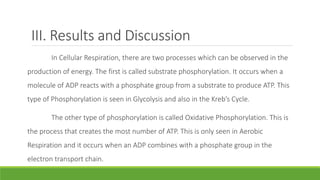 III. Results and Discussion
In Cellular Respiration, there are two processes which can be observed in the
production of energy. The first is called substrate phosphorylation. It occurs when a
molecule of ADP reacts with a phosphate group from a substrate to produce ATP. This
type of Phosphorylation is seen in Glycolysis and also in the Kreb’s Cycle.
The other type of phosphorylation is called Oxidative Phosphorylation. This is
the process that creates the most number of ATP. This is only seen in Aerobic
Respiration and it occurs when an ADP combines with a phosphate group in the
electron transport chain.
 