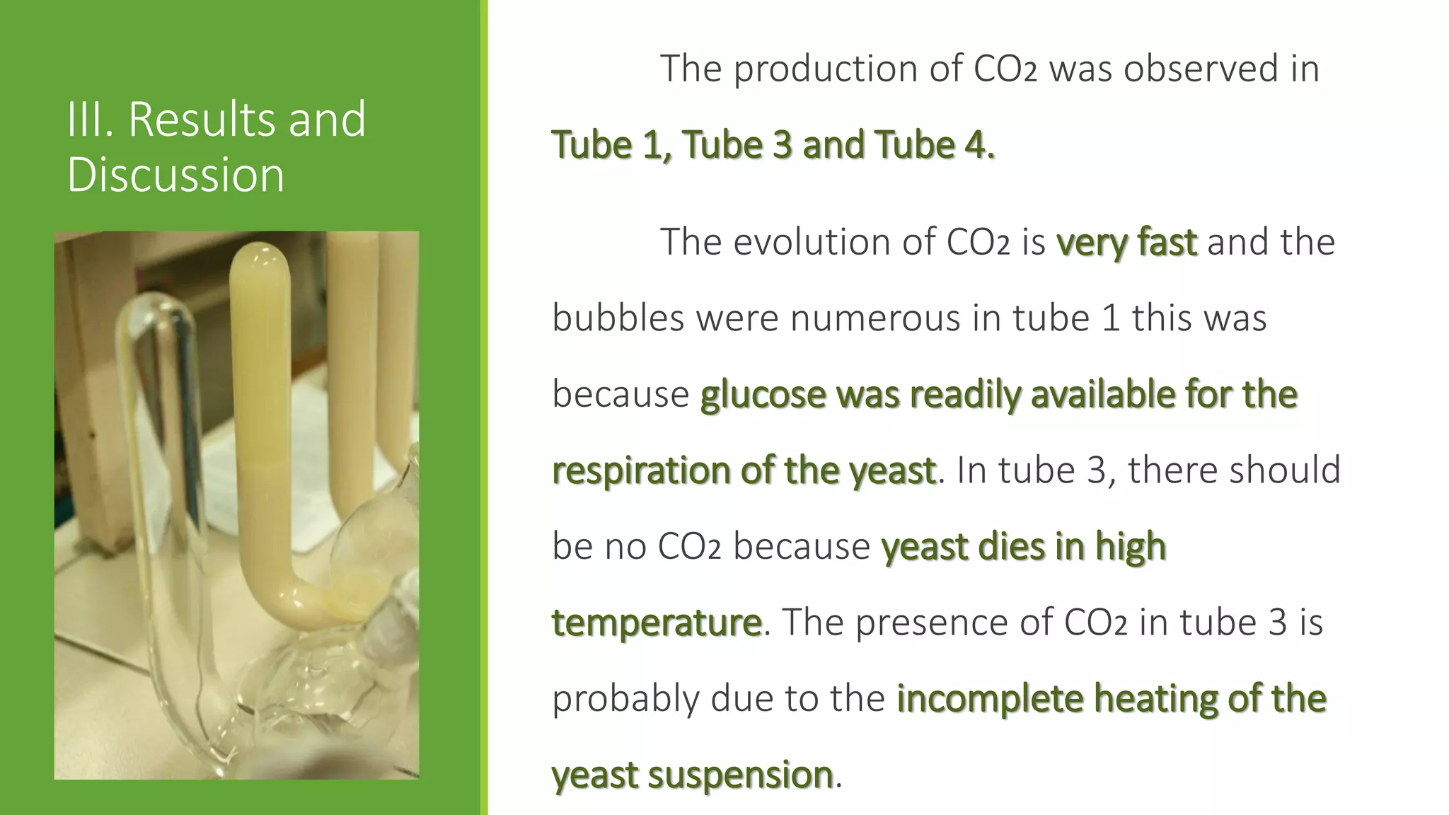 The production of CO2 was observed in
III. Results and   Tube 1, Tube 3 and Tube 4.
Discussion
                         The evolution of CO2 is very fast and the
                   bubbles were numerous in tube 1 this was
                   because glucose was readily available for the
                   respiration of the yeast. In tube 3, there should
                   be no CO2 because yeast dies in high
                   temperature. The presence of CO2 in tube 3 is
                   probably due to the incomplete heating of the
                   yeast suspension.
 