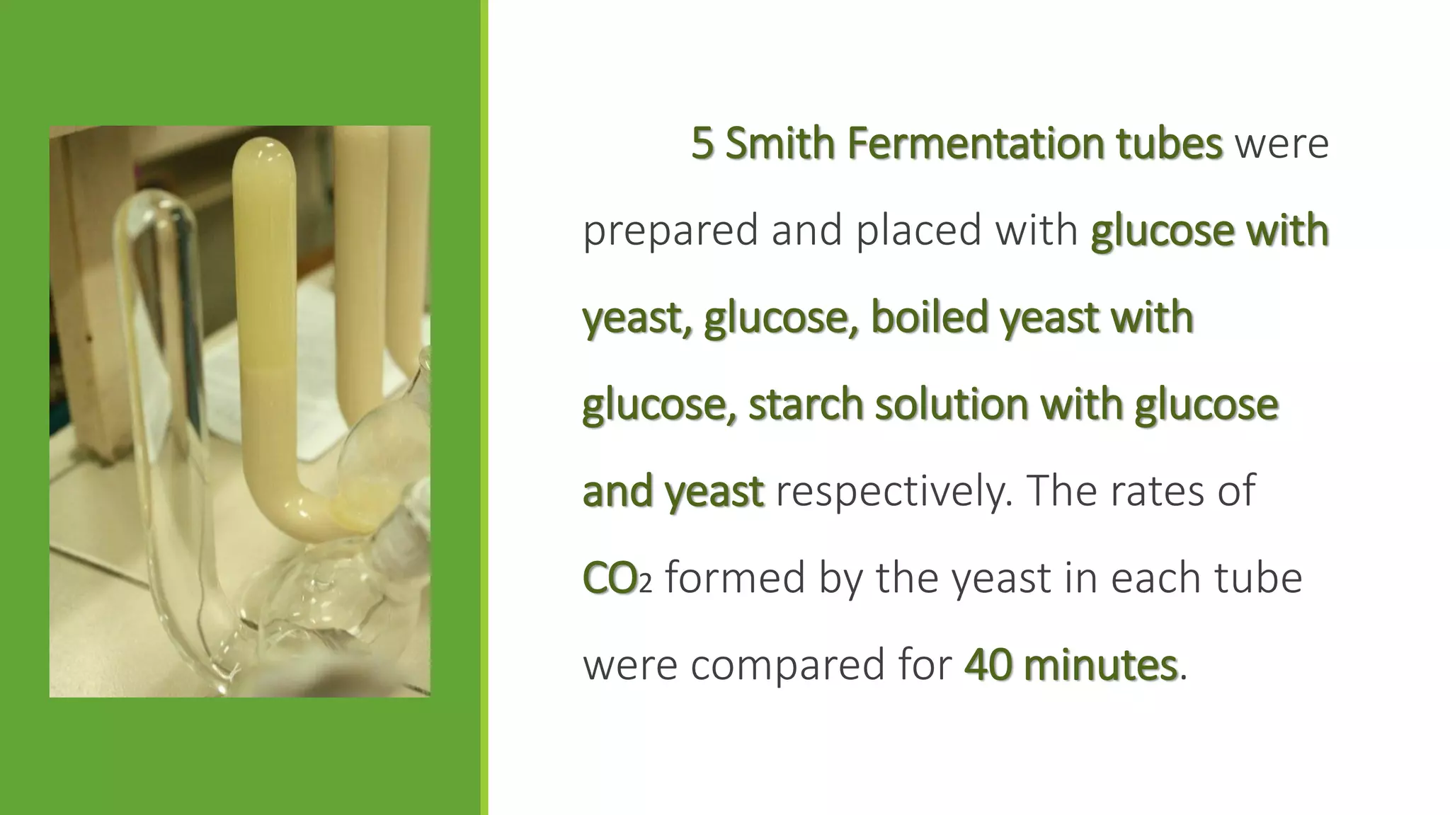 5 Smith Fermentation tubes were
prepared and placed with glucose with
yeast, glucose, boiled yeast with
glucose, starch solution with glucose
and yeast respectively. The rates of
CO2 formed by the yeast in each tube
were compared for 40 minutes.
 