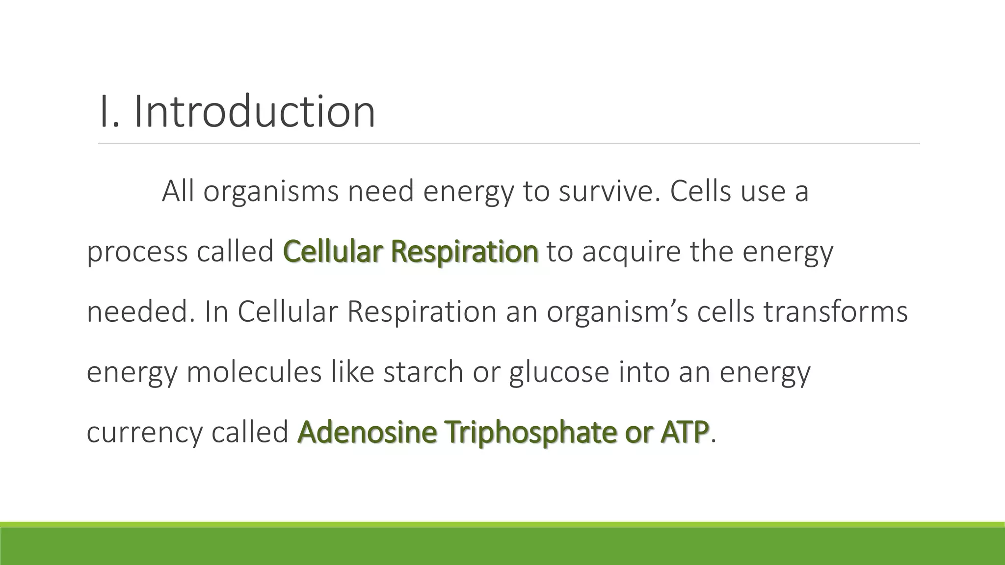 I. Introduction
     All organisms need energy to survive. Cells use a
process called Cellular Respiration to acquire the energy
needed. In Cellular Respiration an organism’s cells transforms
energy molecules like starch or glucose into an energy
currency called Adenosine Triphosphate or ATP.
 