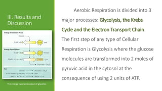 Aerobic Respiration is divided into 3
III. Results and                            major processes: Glycolysis, the Krebs
Discussion
                                            Cycle and the Electron Transport Chain.
                                            The first step of any type of Cellular
                                            Respiration is Glycolysis where the glucose
                                            molecules are transformed into 2 moles of
                                            pyruvic acid in the cytosol at the
                                            consequence of using 2 units of ATP.
The energy input and output of glycolisis
 