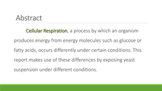 Abstract
     Cellular Respiration, a process by which an organism
produces energy from energy molecules such as glucose or
fatty acids, occurs differently under certain conditions. This
report makes use of these differences by exposing yeast
suspension under different conditions.
 