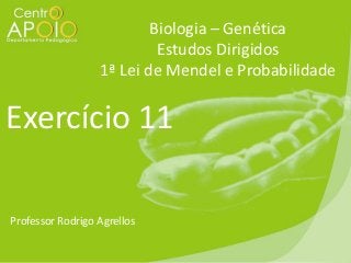 Biologia – Genética
Estudos Dirigidos
1ª Lei de Mendel e Probabilidade

Exercício 11
Professor Rodrigo Agrellos

 