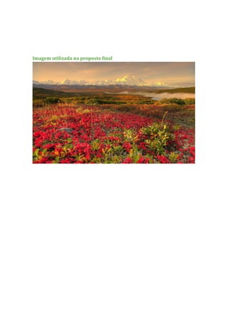 Imagem utilizada na proposta final
 