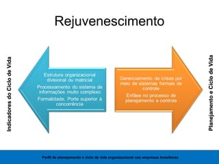 Rejuvenescimento
Perfil de planejamento e ciclo de vida organizacional nas empresas brasileiras
PlanejamentoeCiclodeVidaPlanejamentoeCiclodeVida
IndicadoresdoCiclodeVidaIndicadoresdoCiclodeVida
 