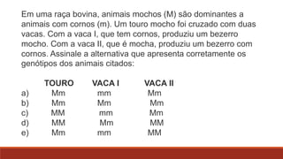 Em uma raça bovina, animais mochos (M) são dominantes a
animais com cornos (m). Um touro mocho foi cruzado com duas
vacas. Com a vaca I, que tem cornos, produziu um bezerro
mocho. Com a vaca II, que é mocha, produziu um bezerro com
cornos. Assinale a alternativa que apresenta corretamente os
genótipos dos animais citados:

a)
b)
c)
d)
e)

TOURO
Mm
Mm
MM
MM
Mm

VACA I
mm
Mm
mm
Mm
mm

VACA II
Mm
Mm
Mm
MM
MM

 