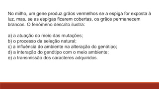 No milho, um gene produz grãos vermelhos se a espiga for exposta à
luz, mas, se as espigas ficarem cobertas, os grãos permanecem
brancos. O fenômeno descrito ilustra:
a) a atuação do meio das mutações;
b) o processo da seleção natural;
c) a influência do ambiente na alteração do genótipo;
d) a interação do genótipo com o meio ambiente;
e) a transmissão dos caracteres adquiridos.

 