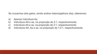 Se cruzarmos dois gatos, sendo ambos heterozigóticos (Aa), obteremos:

a)
b)
c)
d)

Apenas indivíduos Aa;
Indivíduos AA e aa, na proporção de 3:1, respectivamente;
Indivíduos AA e aa, na proporção de 2:1, respectivamente;
Indivíduos AA, Aa e aa, na proporção de 1:2:1, respectivamente.

 