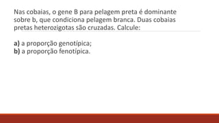 Nas cobaias, o gene B para pelagem preta é dominante
sobre b, que condiciona pelagem branca. Duas cobaias
pretas heterozigotas são cruzadas. Calcule:

a) a proporção genotípica;
b) a proporção fenotípica.

 