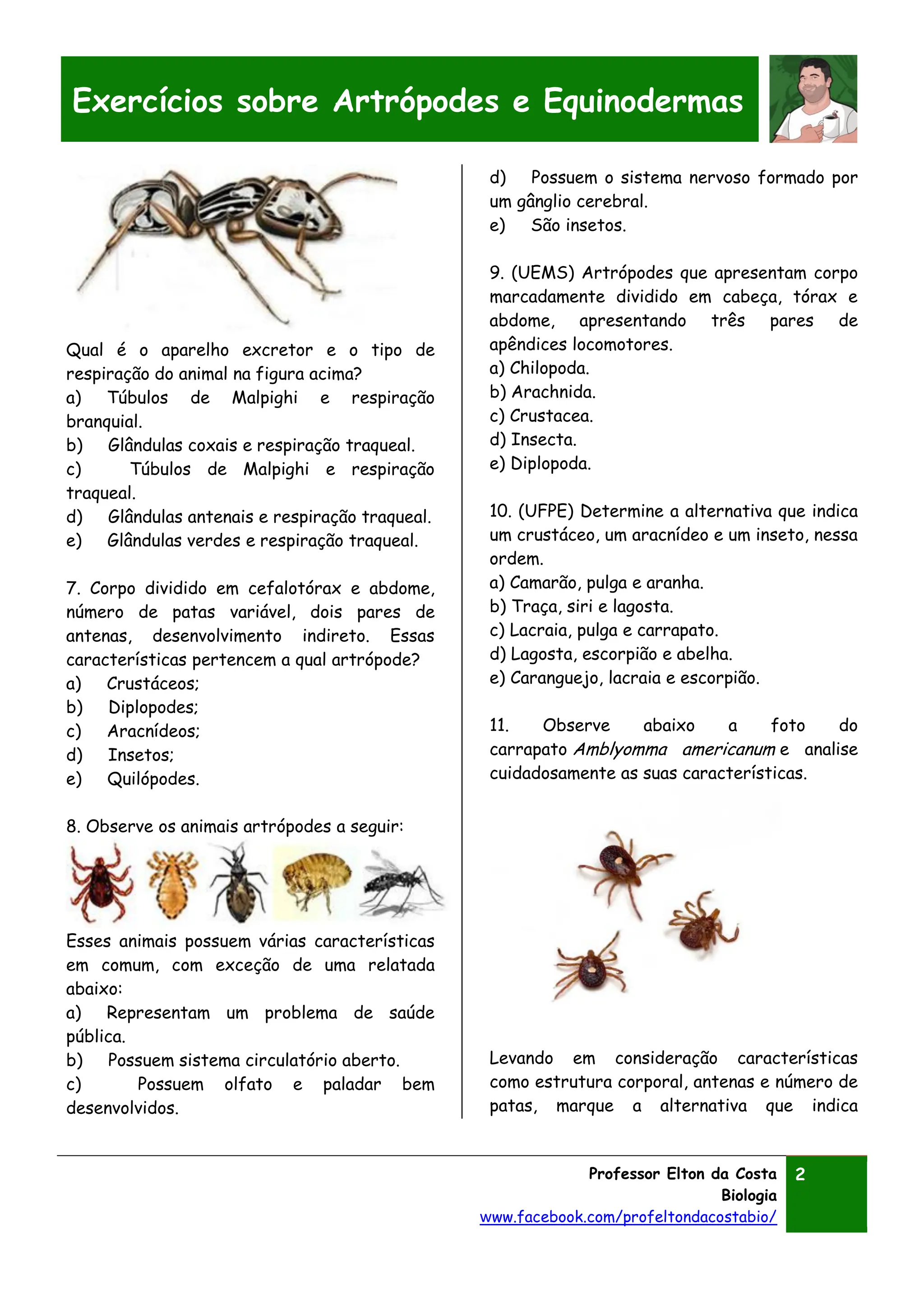 EXERCÍCIOS ARTRÓPODES E EQUINODERMAS.pdf