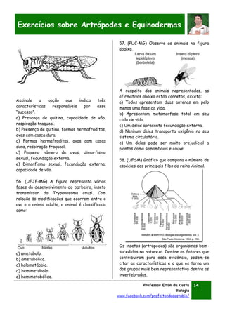 Professor Elton da Costa
Biologia
www.facebook.com/profeltondacostabio/
14
Exercícios sobre Artrópodes e Equinodermas
Assinale a opção que indica três
características responsáveis por esse
“sucesso”.
a) Presença de quitina, capacidade de vôo,
respiração traqueal.
b) Presença de quitina, formas hermafroditas,
ovos com casca dura.
c) Formas hermafroditas, ovos com casca
dura, respiração traqueal.
d) Pequeno número de ovos, dimorfismo
sexual, fecundação externa.
e) Dimorfismo sexual, fecundação externa,
capacidade de vôo.
56. (UFJF-MG) A figura representa várias
fases do desenvolvimento do barbeiro, inseto
transmissor do Trypanosoma cruzi. Com
relação às modificações que ocorrem entre o
ovo e o animal adulto, o animal é classificado
como:
a) ametábolo.
b) ametabólico.
c) holometábolo.
d) hemimetábolo.
e) hemimetabólico.
57. (PUC-MG) Observe os animais na figura
abaixo.
A respeito dos animais representados, as
afirmativas abaixo estão corretas, exceto:
a) Todos apresentam duas antenas em pelo
menos uma fase da vida.
b) Apresentam metamorfose total em seu
ciclo de vida.
c) Um deles apresenta fecundação externa.
d) Nenhum deles transporta oxigênio no seu
sistema circulatório.
e) Um deles pode ser muito prejudicial a
plantas como samambaias e couve.
58. (UFSM) Gráfico que compara o número de
espécies dos principais filos do reino Animal.
Os insetos (artrópodes) são organismos bem-
sucedidos na natureza. Dentre os fatores que
contribuíram para essa evidência, podem-se
citar as características e o que os torna um
dos grupos mais bem representativo dentre os
invertebrados.
 