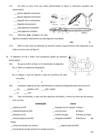 17.1.

De entre os seres vivos que estão representados na figura 4, seleccione aquele(s) que

apresenta(m):
____Apenas digestão intracelular.
____Apenas digestão extracelular.
____Digestão intra e extracelular.

A

____Digestão extracorporal.

C

____Tubo digestivo incompleto.

D

B

____Tubo digestivo completo.
17.2.

Mencione duas vantagens do tubo

digestivo completo relativamente ao tubo digestivo incompleto.
FIG
E
4
Refira os dois tipos de obtenção de alimento usados respectivamente pelo Cogumelo e por

17.3.

todos os outros seres da figura 4.
18.

O diagrama da Fig 5 traduz uma perspectiva global do processo
fotossintético.
18.1.

No que se refere às fases I e II mencionadas no diagrama:

18.1.1. Refira as respectivas designações.
I-

II-

18.1.2. Indique a nível do organito o local da ocorrência de cada
uma delas.
I18.2.

II-

Complete a legenda da Fig 5, identificando as substâncias designadas pelas letras de A a G.
___ CO2

____NADPH + ATP

___ O2

____ H2O

18.3.

____ADP + NADP+

FIG
5

Faça corresponder, a cada uma das seguintes afirmações, o termo da chave que lhe parecer

mais correcto.
AFIRMAÇÕES

CHAVE

__ Hidrólise do ATP

__ Reacções de oxi-redução 1-Etapa I

__ Fotofosforilação do ADP

__ Ciclo de Calvin

2-Etapa II

__ Redução do CO2

__ Fotólise da água

3-Ambas as etapas

__ Fotoionização da clorofila

__ Oxidação de NADPH

4-Nenhuma

das

etapas
__ Síntese de hidratos de carbono

__ Regeneração da RuDP

__ Conversão da energia química em energia luminosa
104

 