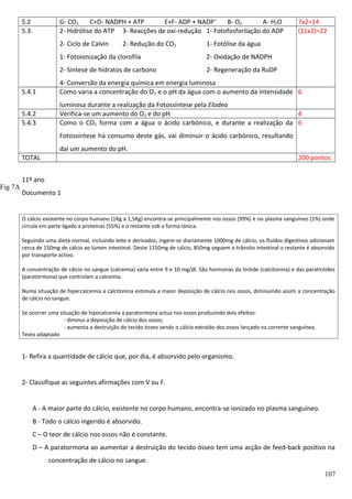 5.2
5.3.

G- CO2
C+D- NADPH + ATP
E+F- ADP + NADP+
B- O2
A- H2O
2- Hidrólise do ATP 3- Reacções de oxi-redução 1- Fotofosforilação do ADP
2- Ciclo de Calvin

2- Redução do CO2

7x2=14
(11x2)=22

1- Fotólise da água

1- Fotoionização da clorofila

2- Oxidação de NADPH

2- Síntese de hidratos de carbono

2- Regeneração da RuDP

5.4.1

4- Conversão da energia química em energia luminosa
Como varia a concentração do O 2 e o pH da água com o aumento da intensidade 6

5.4.2
5.4.3

luminosa durante a realização da Fotossíntese pela Elodea
Verifica-se um aumento do O2 e do pH
4
Como o CO2 forma com a água o ácido carbónico, e durante a realização da 6
Fotossíntese há consumo deste gás, vai diminuir o ácido carbónico, resultando
daí um aumento do pH.

TOTAL

Fig 7A

200 pontos

11º ano
Documento 1

O cálcio existente no corpo humano (1Kg a 1,5Kg) encontra-se principalmente nos ossos (99%) e no plasma sanguíneo (1%) onde
circula em parte ligado a proteínas (55%) e o restante sob a forma iónica.
Seguindo uma dieta normal, incluindo leite e derivados, ingere-se diariamente 1000mg de cálcio, os fluidos digestivos adicionam
cerca de 150mg de cálcio ao lúmen intestinal. Deste 1150mg de cálcio, 850mg seguem o trânsito intestinal o restante é absorvido
por transporte activo.
A concentração de cálcio no sangue (calcemia) varia entre 9 e 10 mg/dl. São hormonas da tiróide (calcitonina) e das paratiróides
(paratormona) que controlam a calcemia.
Numa situação de hipercalcemia a calcitonina estimula a maior deposição de cálcio nos ossos, diminuindo assim a concentração
de cálcio no sangue.
Se ocorrer uma situação de hipocalcemia a paratormona actua nos ossos produzindo dois efeitos:
- diminui a deposição de cálcio dos ossos;
- aumenta a destruição do tecido ósseo sendo o cálcio extraído dos ossos lançado na corrente sanguínea.
Texto adaptado

1- Refira a quantidade de cálcio que, por dia, é absorvido pelo organismo.
2- Classifique as seguintes afirmações com V ou F.
A - A maior parte do cálcio, existente no corpo humano, encontra-se ionizado no plasma sanguíneo.
B - Todo o cálcio ingerido é absorvido.
C – O teor de cálcio nos ossos não é constante.
D – A paratormona ao aumentar a destruição do tecido ósseo tem uma acção de feed-back positivo na
concentração de cálcio no sangue.
107

 