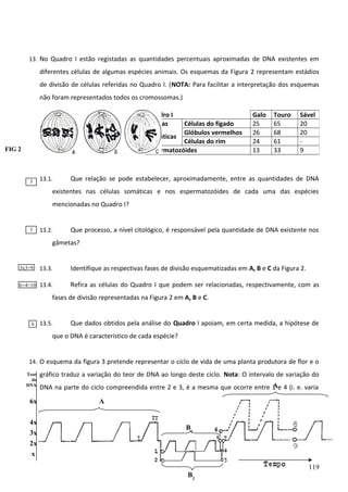 13. No Quadro I estão registadas as quantidades percentuais aproximadas de DNA existentes em

diferentes células de algumas espécies animais. Os esquemas da Figura 2 representam estádios
de divisão de células referidas no Quadro I. (NOTA: Para facilitar a interpretação dos esquemas
não foram representados todos os cromossomas.)
Quadro I
Células

Células do fígado
Glóbulos vermelhos
somáticas
Células do rim
Espermatozóides

FIG 2

3

13.1.

Galo
25
26
24
13

Touro
65
68
61
33

Sável
20
20
9

Que relação se pode estabelecer, aproximadamente, entre as quantidades de DNA

existentes nas células somáticas e nos espermatozóides de cada uma das espécies
mencionadas no Quadro I?

3

13.2.

Que processo, a nível citológico, é responsável pela quantidade de DNA existente nos

gâmetas?

3x3=9

13.3.

Identifique as respectivas fases de divisão esquematizadas em A, B e C da Figura 2.

6+4=10

13.4.

Refira as células do Quadro I que podem ser relacionadas, respectivamente, com as

fases de divisão representadas na Figura 2 em A, B e C.

6

13.5.

Que dados obtidos pela análise do Quadro I apoiam, em certa medida, a hipótese de

que o DNA é característico de cada espécie?
14. O esquema da figura 3 pretende representar o ciclo de vida de uma planta produtora de flor e o
Teor
de
DNA

gráfico traduz a variação do teor de DNA ao longo deste ciclo. Nota: O intervalo de variação do
A
DNA na parte do ciclo compreendida entre 2 e 3, é a mesma que ocorre entre 1 e 4 (i. e. varia

6x entre x e 2x)
4x
3x
2x
x

A

B1

B2

119

 