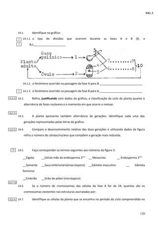 FIG 3

14.1.
3

Identifique no gráfico:

14.1.1. o

tipo

de

divisões

que

ocorrem

durante

as

fases

A

e

B

(B 1

e

B2).____________________

3

14.1.2. o fenómeno ocorrido na passagem da fase A para B.___________________________
3
4+4=8

14.1.3. o fenómeno ocorrido na passagem da fase B para A.___________________________

14.2.

Refira, justificando com dados do gráfico, a classificação do ciclo da planta quanto à

alternância de fases nucleares e o momento em que ocorre a meiose.
4x2=8

14.3.

A planta apresenta também alternância de gerações. Identifique cada uma das

gerações representadas pelas letras do gráfico.
3x2=6

14.4.

Compare o desenvolvimento relativo das duas gerações e utilizando dados da figura

refira o número de células/núcleos que compõem a geração mais reduzida.

10

14.5.

Faça corresponder os termos seguintes aos números da figura 3.

__Zigoto

__Célula mãe do endosperma 2ário

__ Mesocisto

__Semente

__Saco embrionário(macrósporo)

__Gâmeta masculino

__ Endosperma 2ário
__

Gâmeta

feminino
__Embrião

__Grão de pólen (micrósporo)

2x5=10

14.6.

Se o número de cromossomas das células da fase A for de 24, quantos são os

cromossomas existentes nas estruturas assinaladas por:
3x2=6

14.7.

Identifique as células da planta que se encontra no período do ciclo compreendido no

120

 
