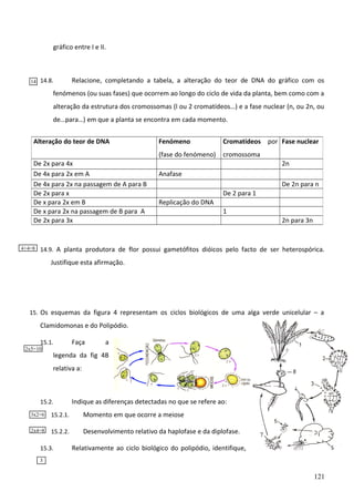 gráfico entre I e II.

14

14.8.

Relacione, completando a tabela, a alteração do teor de DNA do gráfico com os

fenómenos (ou suas fases) que ocorrem ao longo do ciclo de vida da planta, bem como com a
alteração da estrutura dos cromossomas (l ou 2 cromatídeos…) e a fase nuclear (n, ou 2n, ou
de…para…) em que a planta se encontra em cada momento.
Alteração do teor de DNA

4+4=8

Cromatídeos por Fase nuclear

(fase do fenómeno)
De 2x para 4x
De 4x para 2x em A
De 4x para 2x na passagem de A para B
De 2x para x
De x para 2x em B
De x para 2x na passagem de B para A
De 2x para 3x

Fenómeno

cromossoma
2n

Anafase
De 2n para n
De 2 para 1
Replicação do DNA
1
2n para 3n

14.9. A planta produtora de flor possui gametófitos dióicos pelo facto de ser heterospórica.

Justifique esta afirmação.

15. Os esquemas da figura 4 representam os ciclos biológicos de uma alga verde unicelular – a

Clamidomonas e do Polipódio.
15.1.

2x5=10

Faça

a

legenda da fig 4B
relativa a:

15.2.

Indique as diferenças detectadas no que se refere ao:

3x2=6

15.2.1.

Momento em que ocorre a meiose

2x4=8

15.2.2.

Desenvolvimento relativo da haplofase e da diplofase.

15.3.

Relativamente ao ciclo biológico do polipódio, identifique,

3

121

 