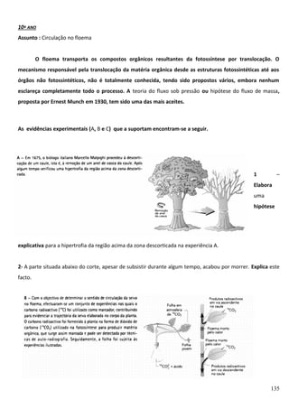 10º ANO
Assunto : Circulação no floema
O floema transporta os compostos orgânicos resultantes da fotossíntese por translocação. O
mecanismo responsável pela translocação da matéria orgânica desde as estruturas fotossintéticas até aos
órgãos não fotossintéticos, não é totalmente conhecida, tendo sido propostos vários, embora nenhum
esclareça completamente todo o processo. A teoria do fluxo sob pressão ou hipótese do fluxo de massa,
proposta por Ernest Munch em 1930, tem sido uma das mais aceites.

As evidências experimentais (A, B e C) que a suportam encontram-se a seguir.

1

–

Elabora
uma
hipótese

explicativa para a hipertrofia da região acima da zona descorticada na experiência A.
2- A parte situada abaixo do corte, apesar de subsistir durante algum tempo, acabou por morrer. Explica este
facto.

135

 