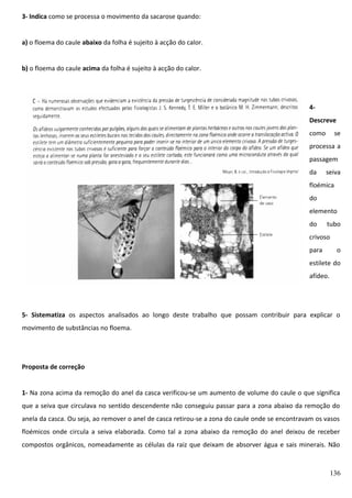 3- Indica como se processa o movimento da sacarose quando:
a) o floema do caule abaixo da folha é sujeito à acção do calor.
b) o floema do caule acima da folha é sujeito à acção do calor.

4Descreve
como

se

processa a
passagem
da

seiva

floémica
do
elemento
do

tubo

crivoso
para

o

estilete do
afídeo.

5- Sistematiza os aspectos analisados ao longo deste trabalho que possam contribuir para explicar o
movimento de substâncias no floema.

Proposta de correção
1- Na zona acima da remoção do anel da casca verificou-se um aumento de volume do caule o que significa
que a seiva que circulava no sentido descendente não conseguiu passar para a zona abaixo da remoção do
anela da casca. Ou seja, ao remover o anel de casca retirou-se a zona do caule onde se encontravam os vasos
floémicos onde circula a seiva elaborada. Como tal a zona abaixo da remoção do anel deixou de receber
compostos orgânicos, nomeadamente as células da raiz que deixam de absorver água e sais minerais. Não

136

 