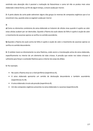 existindo esta absorção não é possível a realização da fotossíntese e como tal não se produz mais seiva
elaborada e desta forma, ao fim de algum tempo, a árvore acaba por morrer.
2- A parte abaixo do corte pode sobreviver alguns dias graças às reservas de compostos orgânicos que aí se
encontram mas, quando estas se esgotam acaba por morrer.
3a) Como os elementos condutores da seiva elaborada se tratarem de células vivas quando é sujeito ao calor
estas células acabam por ser destruídas. Quando o floema do caule abaixo da folha é sujeito à acção do calor
o movimento da sacarose apenas se verifica no sentido ascendente.
b) Quando o floema do caule acima da folha é sujeito à acção do calor o movimento da sacarose apenas se
verifica no sentido descendente.
4- O estilete insere-se directamente na zona floémica, onde ocorre a translocação activa da seiva elaborada,
especificamente no interior de um elemento do tubo crivoso. A pressão que existe nos tubos crivosos é
suficiente para forçar o conteúdo floémico para o interior do corpo do afídeo.
5- Por exemplo:
•

No caule o floema situa-se a nível periférico (experiência A);

•

A seiva elaborada apresenta um sentido de deslocação descendente e também ascendente
(experiências A e B).

•

A seiva elaborada circula sob pressão (experiência B).

•

Um dos compostos orgânicos presentes na seiva elaborada é a sacarose (experiência B).

137

 