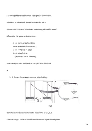 Faz corresponder a cada número a designação conveniente.
Denomina os fenómenos evidenciados em A e em B.
Que dados do esquema permitiram a identificação que efectuaste?
A formação 2 originou-se diretamente:
A – da membrana plasmática;
B – do retículo endoplasmático;
C – do complexo de Golgi;
D – da mitocôndria.
( assinala a opção correcta )
Refere a importância da formação 2 no processo em causa.
IV
1. A figura 6 é relativa ao processo fotossintético.

Fig.6
Identifica as moléculas referenciadas pelas letras a, b, c, d, e.
Como se designa a fase do processo fotossintético representada por I?
29

 