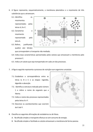 6. A figura representa, esquematicamente, a membrana plasmática e o movimento de três
substâncias que a atravessam.
6.1. Identifica

os

movimentos
representados

pelas

letras A, B e C.
6.2. Caracteriza

o

movimento
representado

pela

letra A.
6.3. Refere,

justificando

qual(is) a(s) letra(s)
que correspondem a transporte não mediado.
6.4. Indica duas características apresentadas pelos solutos que atravessam a membrana pelo
processo C.
6.5. Indica um soluto que seja transportado em cada um dos processos.

7. A figura seguinte representa o processo de nutrição num organismo unicelular.
7.1. Estabelece a correspondência entre as
letras A, B e C e as etapas: ingestão,
digestão e absorção.
7.2. Identifica a estrutura indicada pelo número
1 e refere o nome do organelo que a
liberta.
7.3. Indica o nome dos processos representados
pelas letras X e Y.
7.4. Descreve os acontecimentos que ocorrem
de X até Y.
8. Classifica as seguintes afirmações de verdadeiras ou de falsas.
A. Na difusão simples o transporte efectua-se com consumo de energia.
B. Na difusão simples e facilitada os solutos atravessam a membrana de forma passiva.
33

 