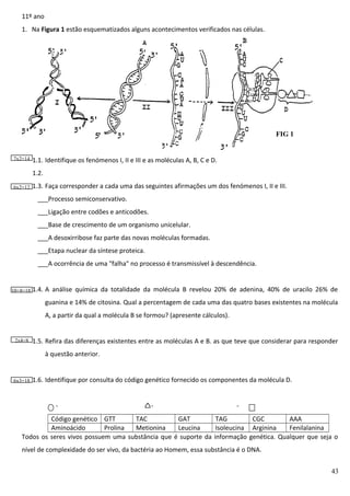 11º ano
1. Na Figura 1 estão esquematizados alguns acontecimentos verificados nas células.

FIG 1

7x2=14

1.1. Identifique os fenómenos I, II e III e as moléculas A, B, C e D.
1.2.

6x2=12

1.3. Faça corresponder a cada uma das seguintes afirmações um dos fenómenos I, II e III.
___Processo semiconservativo.
___Ligação entre codões e anticodões.
___Base de crescimento de um organismo unicelular.
___A desoxirribose faz parte das novas moléculas formadas.
___Etapa nuclear da síntese proteica.
___A ocorrência de uma "falha" no processo é transmissível à descendência.

10+8=18

1.4. A análise química da totalidade da molécula B revelou 20% de adenina, 40% de uracilo 26% de
guanina e 14% de citosina. Qual a percentagem de cada uma das quatro bases existentes na molécula
A, a partir da qual a molécula B se formou? (apresente cálculos).

2x4=8

1.5. Refira das diferenças existentes entre as moléculas A e B. as que teve que considerar para responder
à questão anterior.

6x3=18

1.6. Identifique por consulta do código genético fornecido os componentes da molécula D.
-

-

-

Código genético GTT
TAC
GAT
TAG
CGC
AAA
Aminoácido
Prolina
Metionina
Leucina
Isoleucina Arginina
Fenilalanina
Todos os seres vivos possuem uma substância que é suporte da informação genética. Qualquer que seja o
nível de complexidade do ser vivo, da bactéria ao Homem, essa substância é o DNA.
43

 