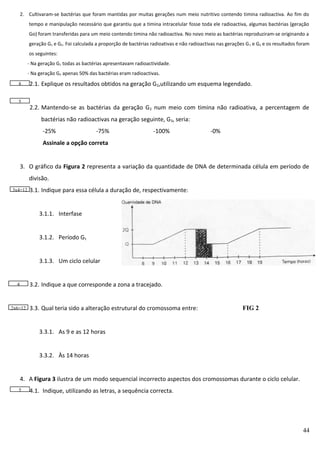 2. Cultivaram-se bactérias que foram mantidas por muitas gerações num meio nutritivo contendo timina radioactiva. Ao fim do
tempo e manipulação necessário que garantiu que a timina intracelular fosse toda ele radioactiva, algumas bactérias (geração
Go) foram transferidas para um meio contendo timina não radioactiva. No novo meio as bactérias reproduziram-se originando a
geração G1 e G2. Foi calculada a proporção de bactérias radioativas e não radioactivas nas gerações G 1 e G2 e os resultados foram
os seguintes:
- Na geração G1 todas as bactérias apresentavam radioactividade.
- Na geração G2 apenas 50% das bactérias eram radioactivas.
8

5

2.1. Explique os resultados obtidos na geração G2,utilizando um esquema legendado.
2.2. Mantendo-se as bactérias da geração G 2 num meio com timina não radioativa, a percentagem de
bactérias não radioactivas na geração seguinte, G3, seria:
-25%

-75%

-100%

-0%

Assinale a opção correta
3. O gráfico da Figura 2 representa a variação da quantidade de DNA de determinada célula em período de
divisão.
3x4=12

3.1. Indique para essa célula a duração de, respectivamente:
3.1.1. Interfase
3.1.2. Período G1
3.1.3. Um ciclo celular
3.2. Indique a que corresponde a zona a tracejado.

4

2x6=12

3.3. Qual teria sido a alteração estrutural do cromossoma entre:

FIG 2

3.3.1. As 9 e as 12 horas
3.3.2. Às 14 horas
4. A Figura 3 ilustra de um modo sequencial incorrecto aspectos dos cromossomas durante o ciclo celular.
5

4.1. Indique, utilizando as letras, a sequência correcta.

44

 