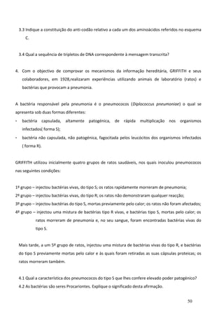 3.3 Indique a constituição do anti-codão relativo a cada um dos aminoácidos referidos no esquema
C.
3.4 Qual a sequência de tripletos de DNA correspondente à mensagem transcrita?
4. Com o objectivo de comprovar os mecanismos da informação hereditária, GRIFFITH e seus
colaboradores, em 1928,realizaram experiências utilizando animais de laboratório (ratos) e
bactérias que provocam a pneumonia.
A bactéria responsável pela pneumonia é o pneumococos (Diplococcus pneumoniae) o qual se
apresenta sob duas formas diferentes:
-

bactéria capsulada,

altamente

patogénica, de

rápida multiplicação nos organismos

infectados( forma S);
-

bactéria não capsulada, não patogénica, fagocitada pelos leucócitos dos organismos infectados
( forma R).

GRIFFITH utilizou inicialmente quatro grupos de ratos saudáveis, nos quais inoculou pneumococos
nas seguintes condições:
1º grupo – injectou bactérias vivas, do tipo S; os ratos rapidamente morreram de pneumonia;
2º grupo – injectou bactérias vivas, do tipo R; os ratos não demonstraram qualquer reacção;
3º grupo – injectou bactérias do tipo S, mortas previamente pelo calor; os ratos não foram afectados;
4º grupo – injectou uma mistura de bactérias tipo R vivas, e bactérias tipo S, mortas pelo calor; os
ratos morreram de pneumonia e, no seu sangue, foram encontradas bactérias vivas do
tipo S.
Mais tarde, a um 5º grupo de ratos, injectou uma mistura de bactérias vivas do tipo R, e bactérias
do tipo S previamente mortas pelo calor e às quais foram retiradas as suas cápsulas proteicas; os
ratos morreram também.
4.1 Qual a característica dos pneumococos do tipo S que lhes confere elevado poder patogénico?
4.2 As bactérias são seres Procariontes. Explique o significado desta afirmação.
50

 