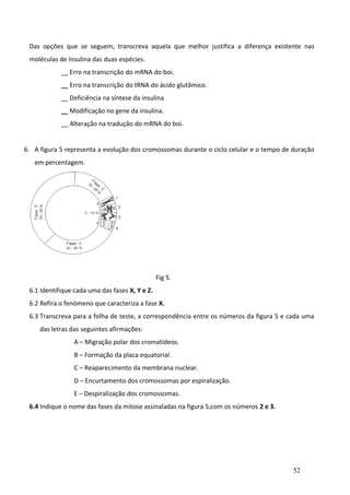 Das opções que se seguem, transcreva aquela que melhor justifica a diferença existente nas
moléculas de insulina das duas espécies.
__ Erro na transcrição do mRNA do boi.
__ Erro na transcrição do tRNA do ácido glutâmico.
__ Deficiência na síntese da insulina
__ Modificação no gene da insulina.
__ Alteração na tradução do mRNA do boi.
6. A figura 5 representa a evolução dos cromossomas durante o ciclo celular e o tempo de duração
em percentagem.

Fig 5.
6.1 Identifique cada uma das fases X, Y e Z.
6.2 Refira o fenómeno que caracteriza a fase X.
6.3 Transcreva para a folha de teste, a correspondência entre os números da figura 5 e cada uma
das letras das seguintes afirmações:
A – Migração polar dos cromatídeos.
B – Formação da placa equatorial.
C – Reaparecimento da membrana nuclear.
D – Encurtamento dos cromossomas por espiralização.
E – Despiralização dos cromossomas.
6.4 Indique o nome das fases da mitose assinaladas na figura 5,com os números 2 e 3.

52

 